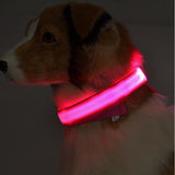 Safety Glowing Pet Collar With LED By Project Pet Lovers Club